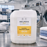 Delphis Eco Laundry Destainer 10litre