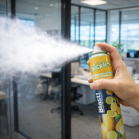 BLAST! High Power Citrus Air Freshener 750ml (K376)