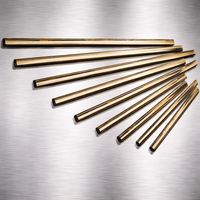 Ettore Master Brass Channel & Rubber