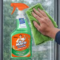 Mr Muscle Platinum Window & Glass 750ml