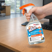 Mr Muscle Multi Surface 750ml