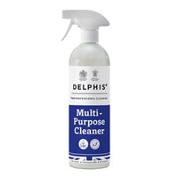 Delphis Eco Delphis Multi-Purpose Cleaner RTU 700ml