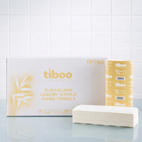 Tiboo White V-Fold 2ply Hand Towel 3000/case (TF190)