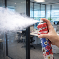 BLAST! High Power Air freshener Summer Flowers 750ml