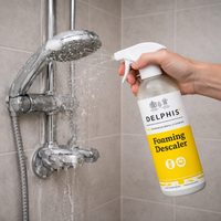 Delphis Eco Commercial Foaming Descaler 700ml