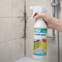 HG Mould Spray 500ml
