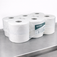 Katrin 62080 Plus Gigant Mini Jumbo Toilet Roll 12x150m