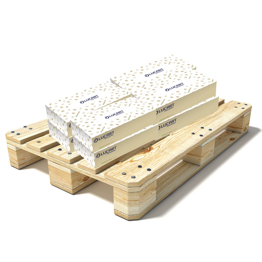 Pallet Lucart EcoNatural Oblong Facial Tissue 2ply 200x210mm 40x100sh (32 cases) 841073