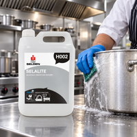 Selden Selalite Aluminium Cleaner & Descaler H002