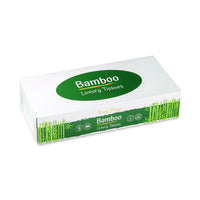 Bamboo Facial Tissues 2ply Oblong Box 24x100sh