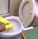 Cleaning your Toilet