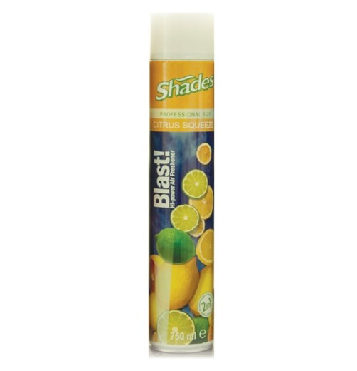 BLAST! Citrus Air Freshener 750ml (K376)