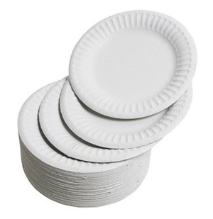 DISCONTINUED - 9" White Paper Plates