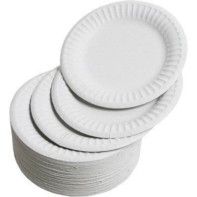 6-inch Disposable Paper Plates (pack of 100)